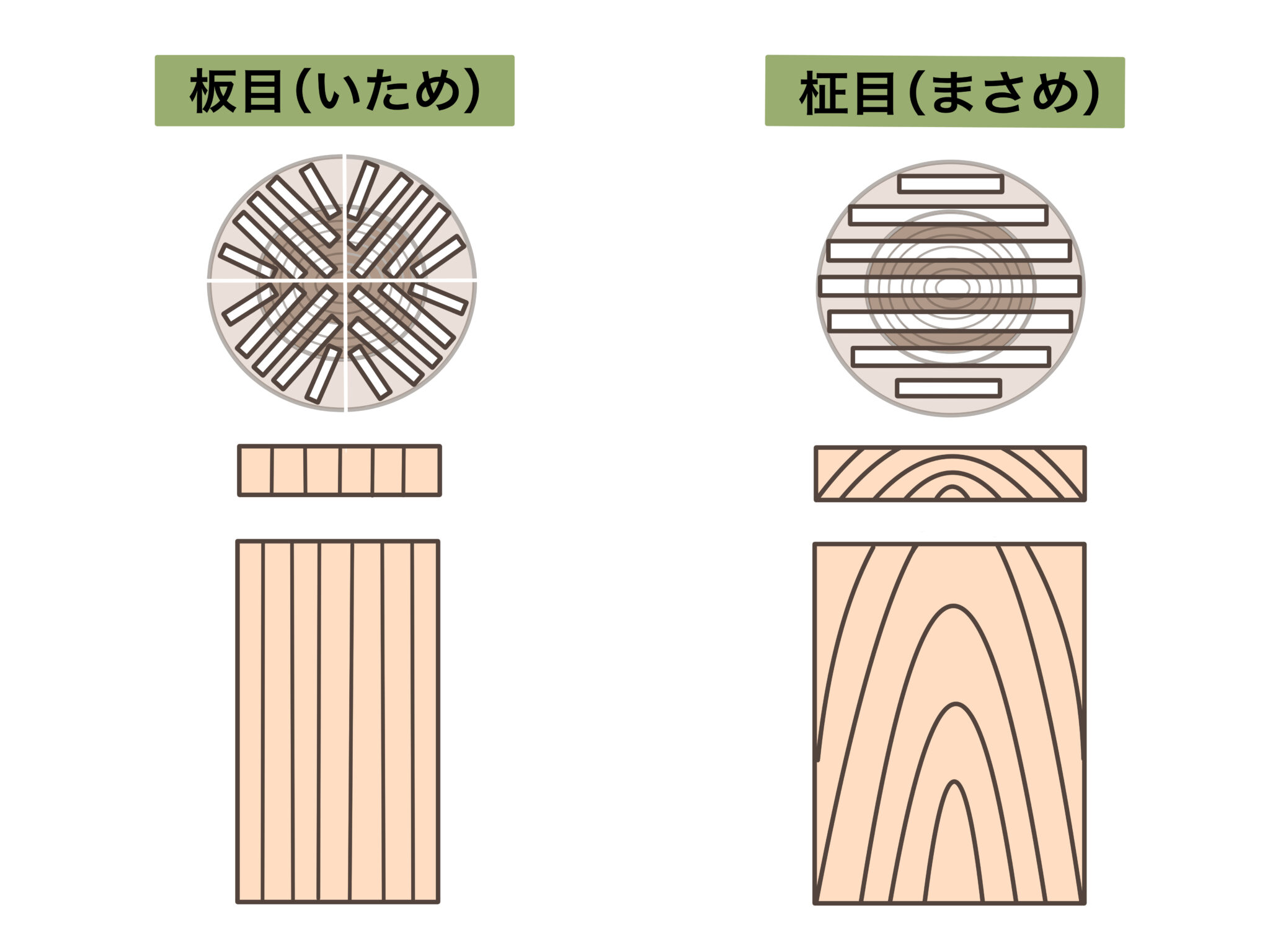 柾目（まさめ）って何？板目（いため）とは？その違いを知っておこう【完全解説】 - 家づくり百貨