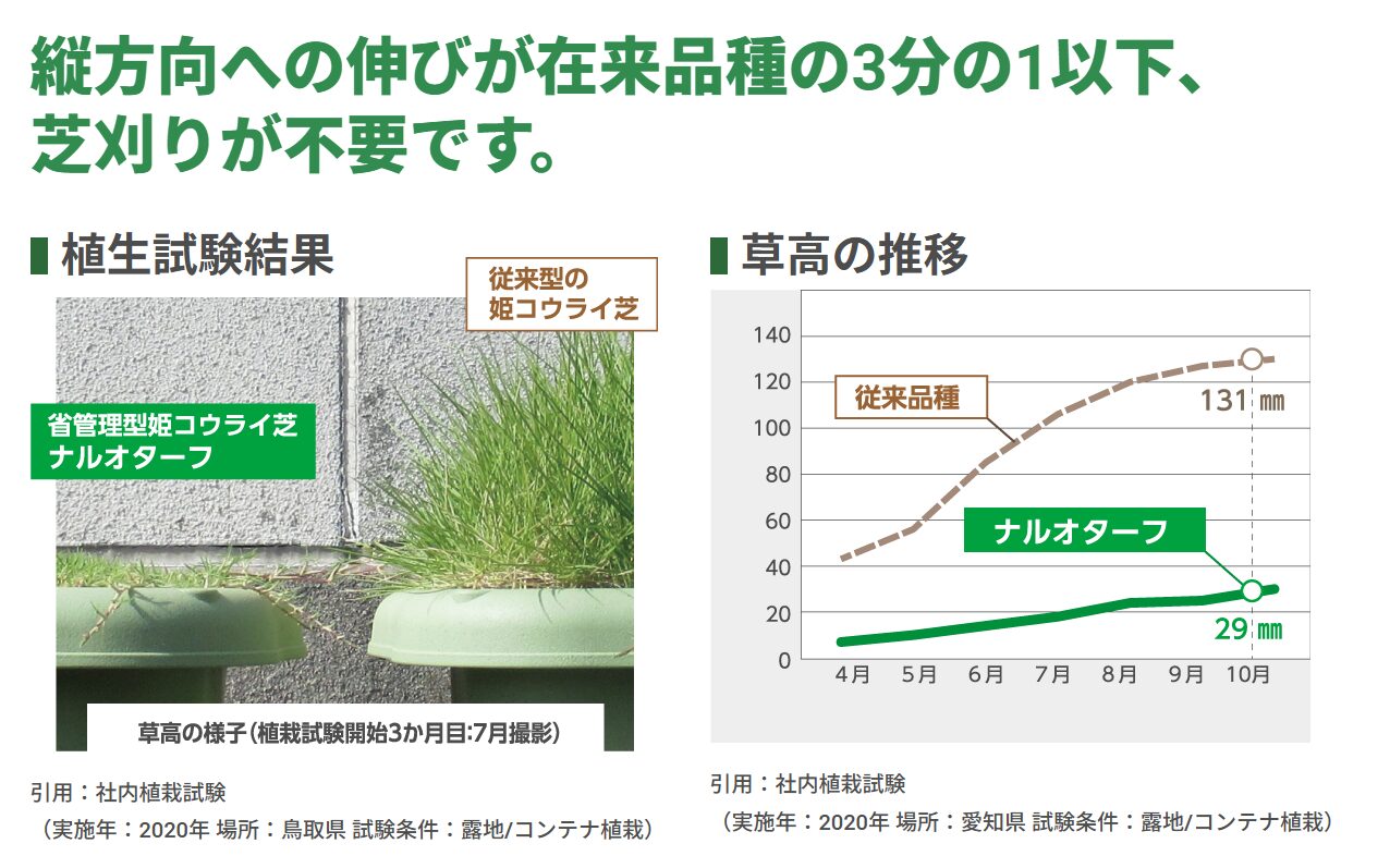 人気の芝生の品種をチェック「高麗芝」「野芝」「TM9」はどう違うのか？最近登場した伸びない芝「ナルオターフ」はどう？