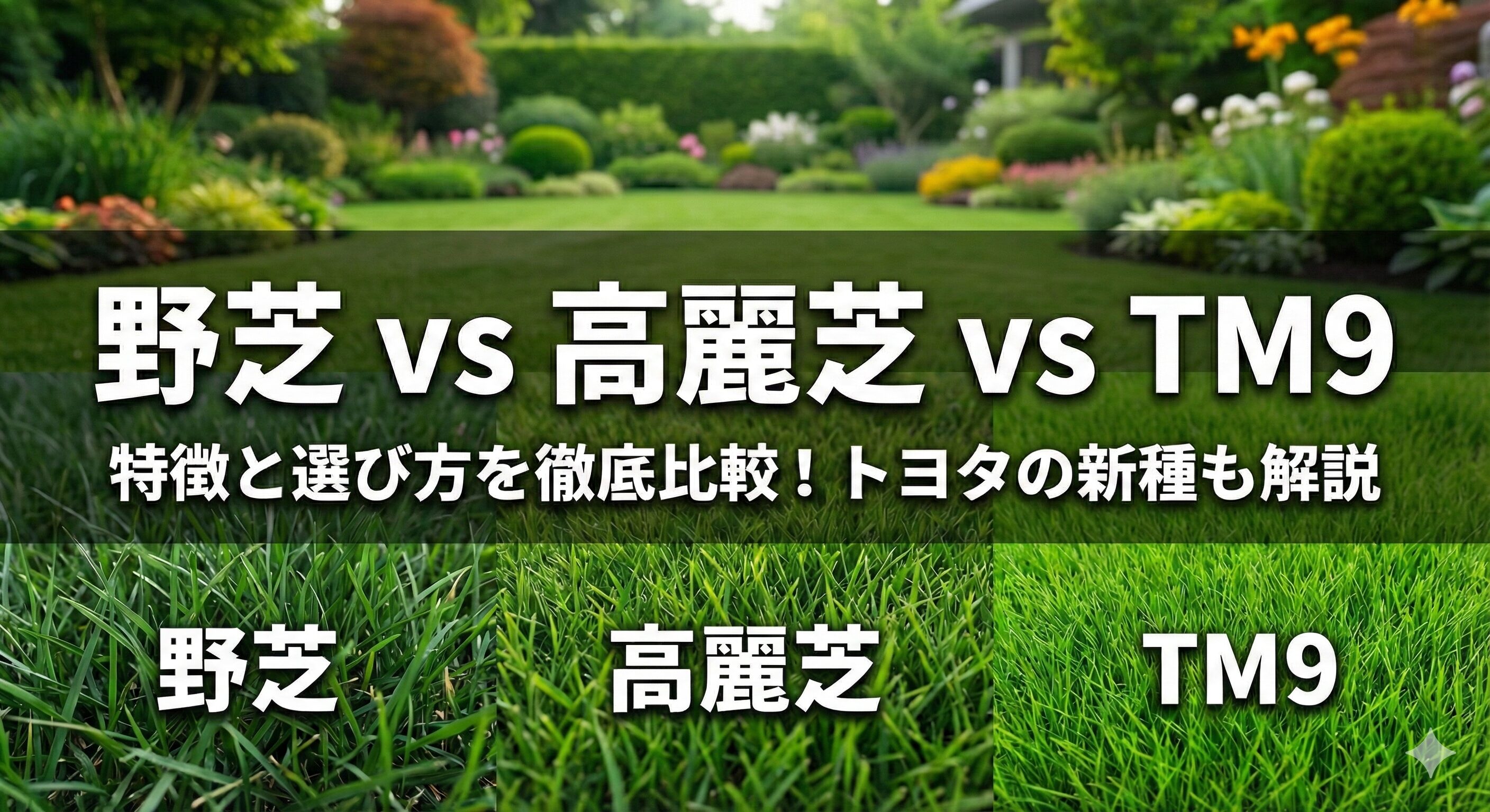 野芝と高麗芝、トヨタの新種TM９（ティーエム９）を比較してみた！