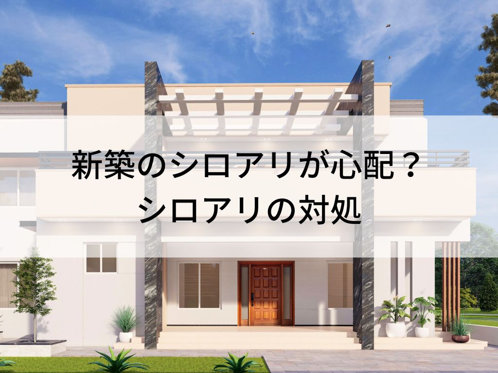 新築のシロアリが心配？シロアリの対処は施工方法とホウ酸処理で解決します。