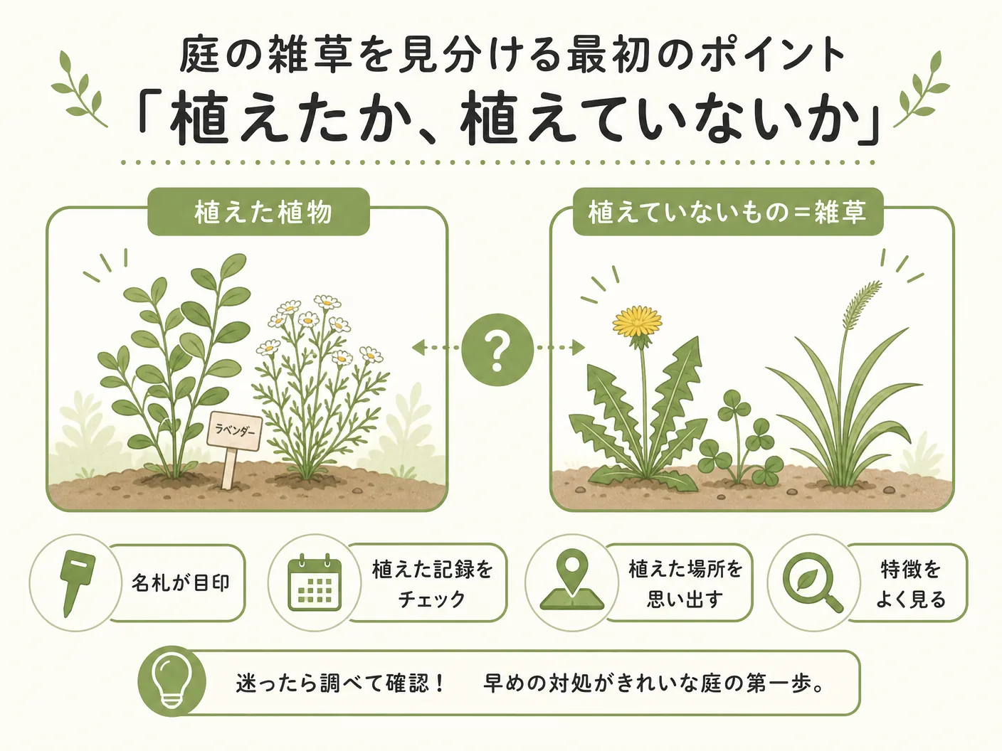見分け方 対処の庭の雑草を見分ける最初のポイント——「植えたか、植えていないか」を表す図解イラスト