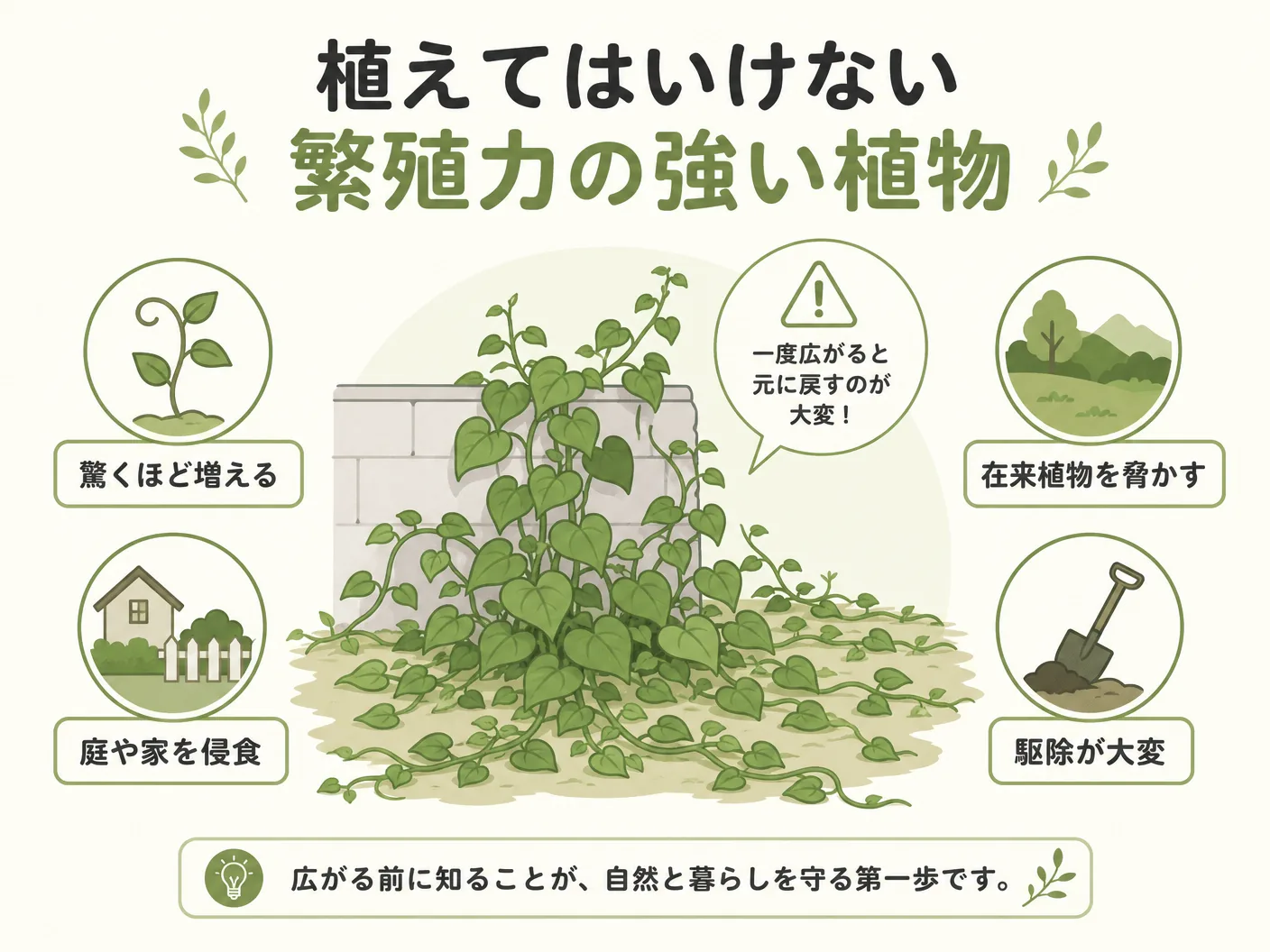 雑草 グランドカバー 違いの植えてはいけない繁殖力の強い植物を表す図解イラスト