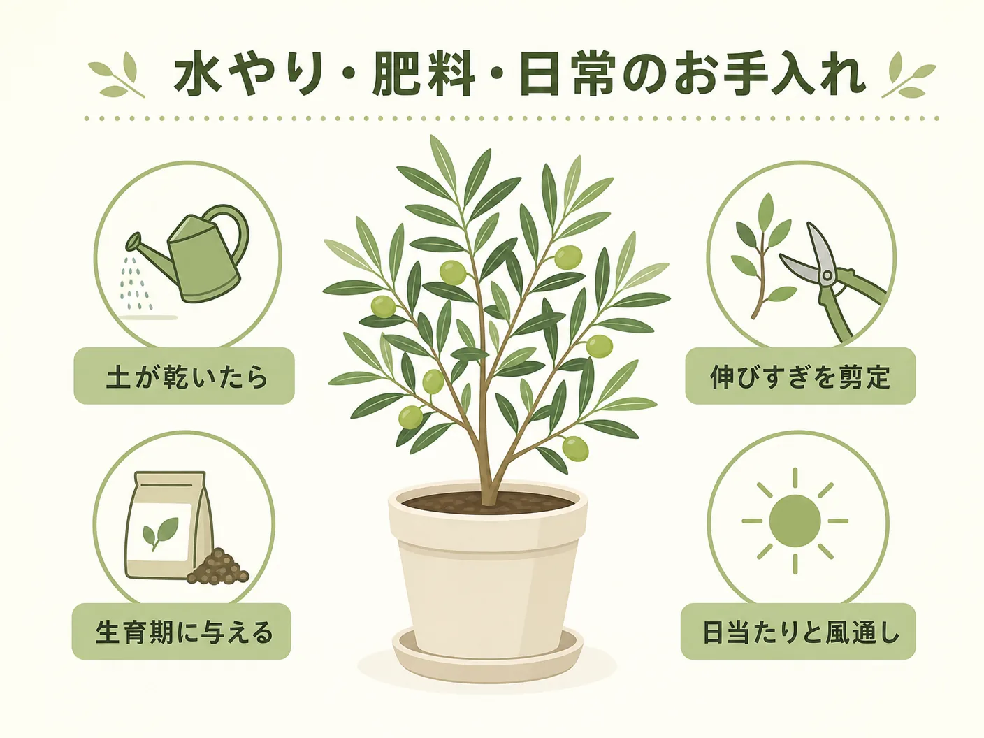 屋外での苔の育て方の水やり・肥料・日常のお手入れ方法を表す図解イラスト