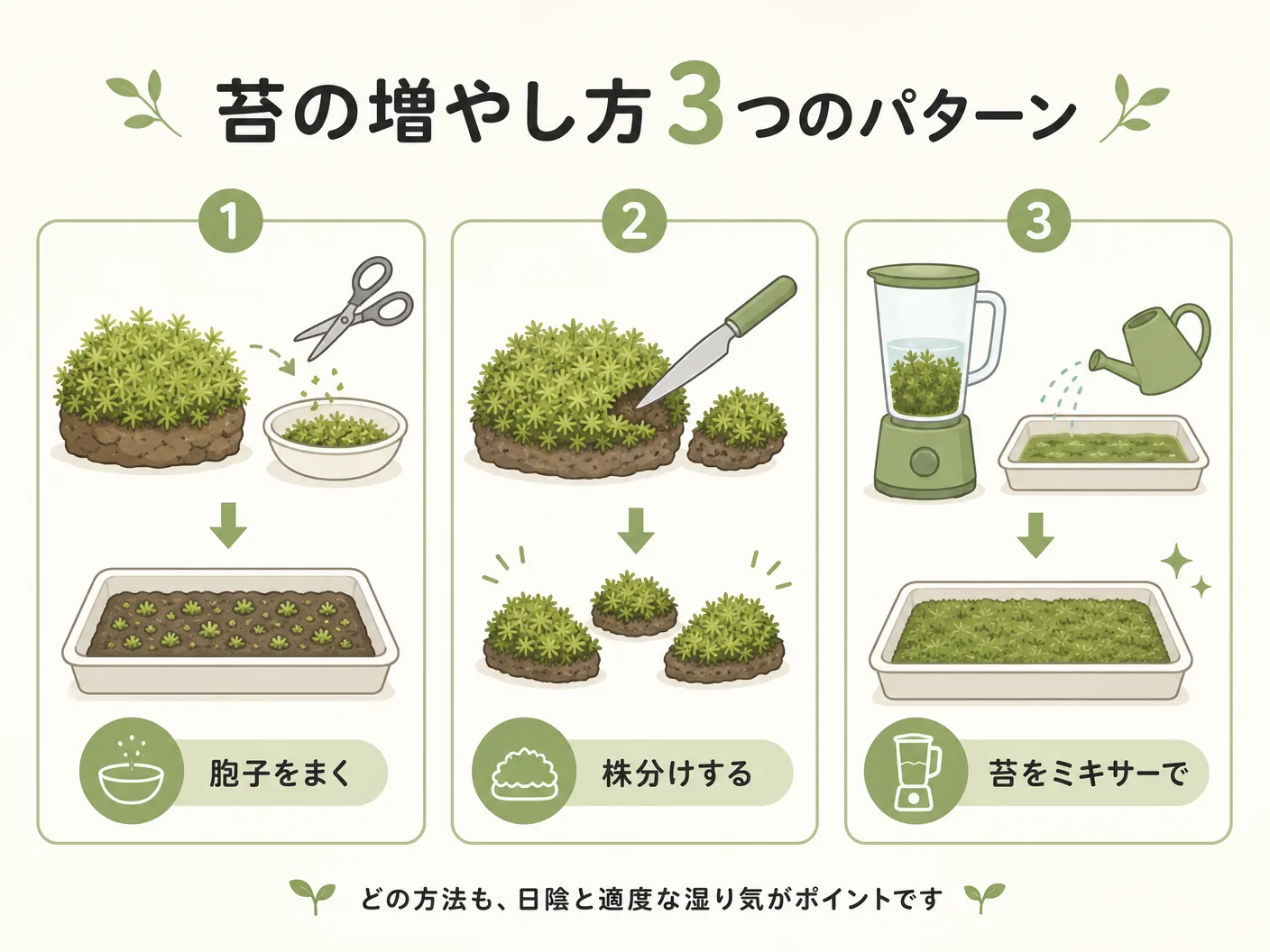 屋外での苔の育て方の苔の増やし方3つのパターンを表す図解イラスト