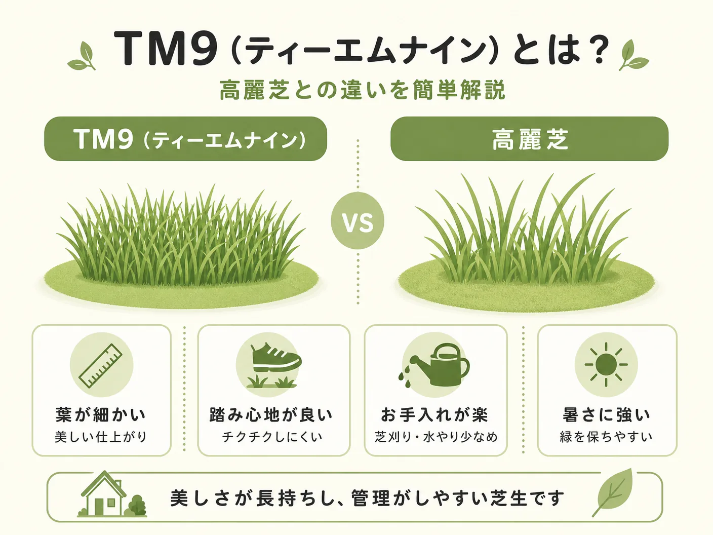 TM9芝生のデメリットと選び方のTM9（ティーエムナイン）とは？高麗芝との違いを簡単解説を表す図解イラスト