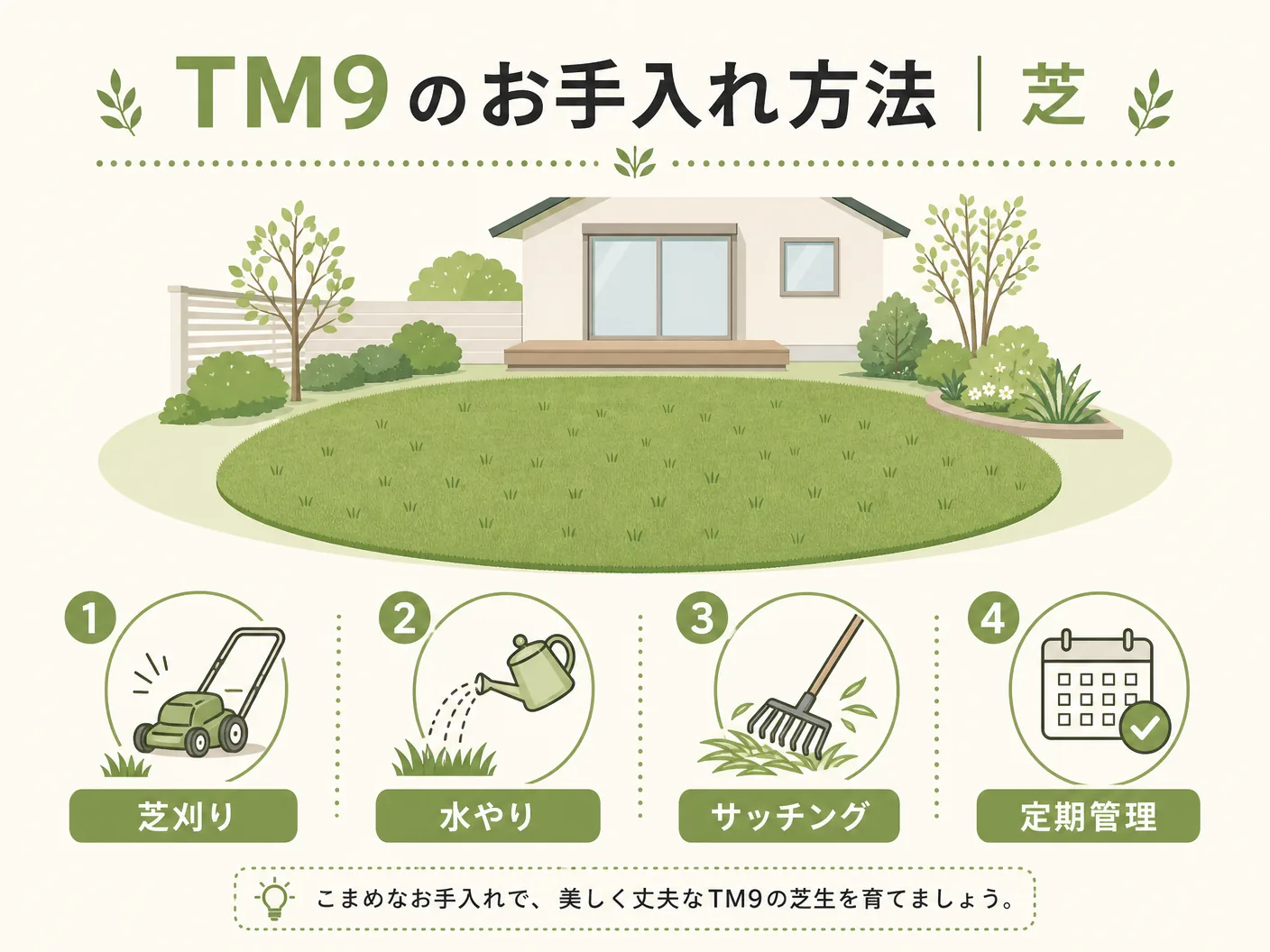 TM9芝生のデメリットと選び方のTM9のお手入れ方法｜芝刈り・水やり・サッチングを表す図解イラスト