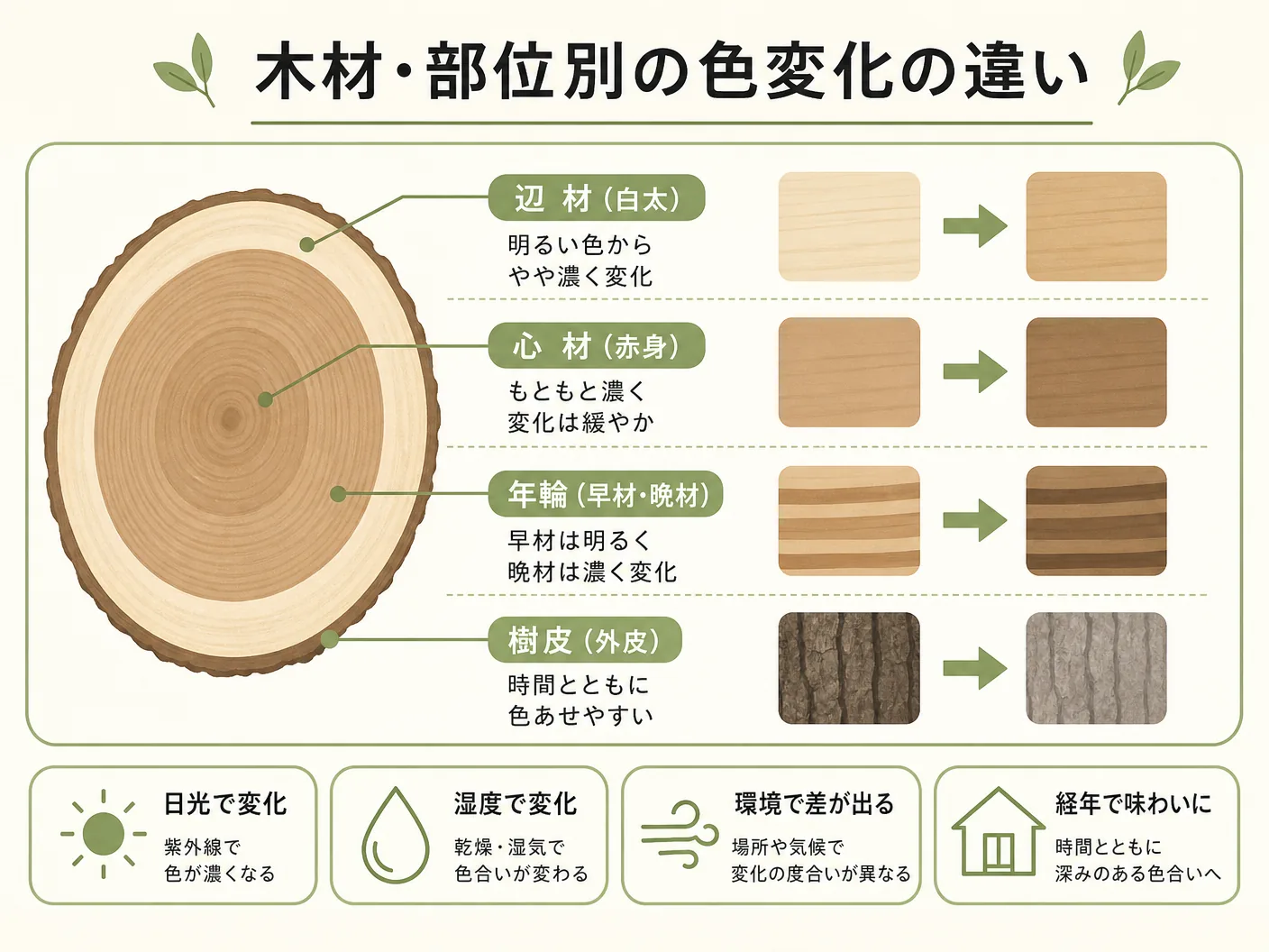 ウッドロングエコ 経年変化の木材・部位別の色変化の違いを表す図解イラスト