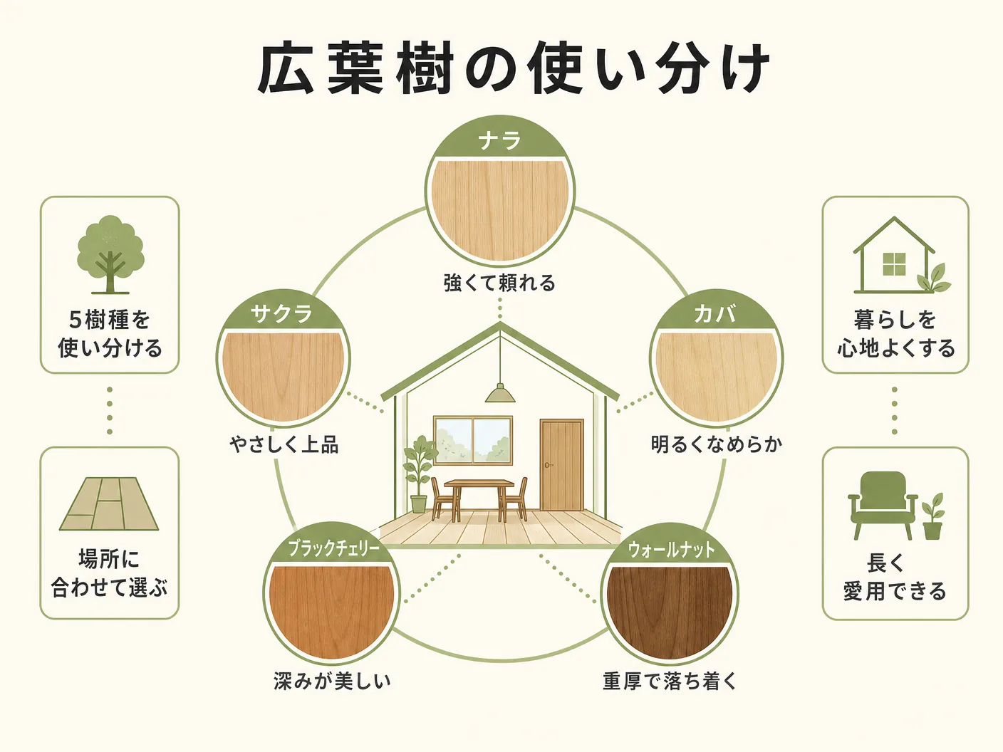 無垢床 選び方の広葉樹の使い分け——清水さんが語る5樹種の役割を表す図解イラスト
